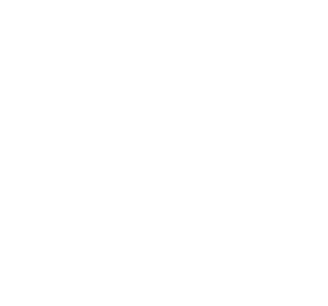 Grupo SEB