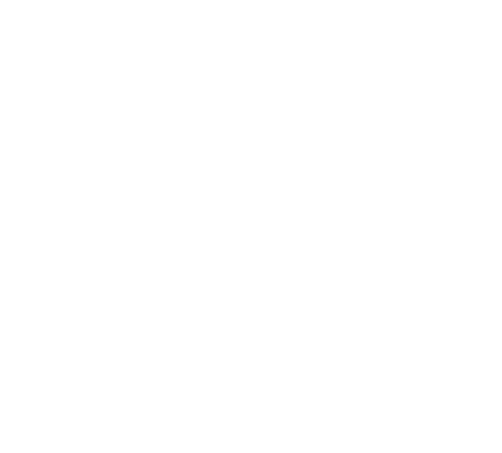 Grupo SEB